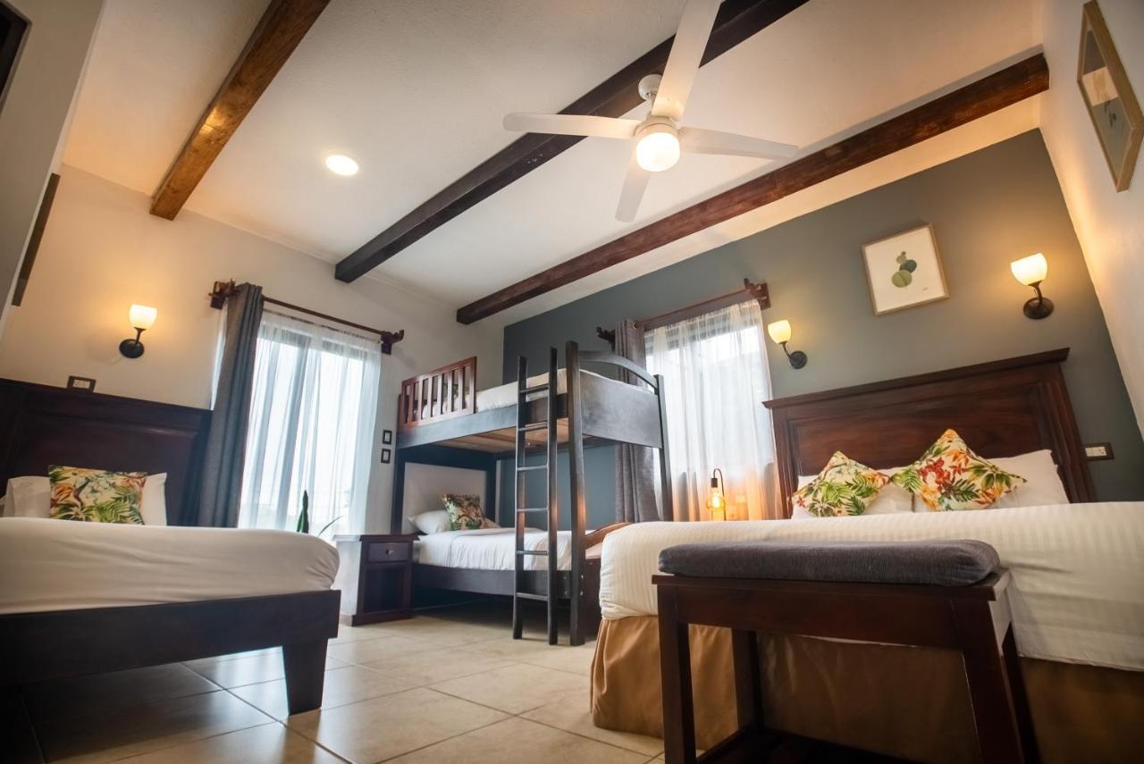 Camino Verde B&B Monteverde Costa Rica Dış mekan fotoğraf